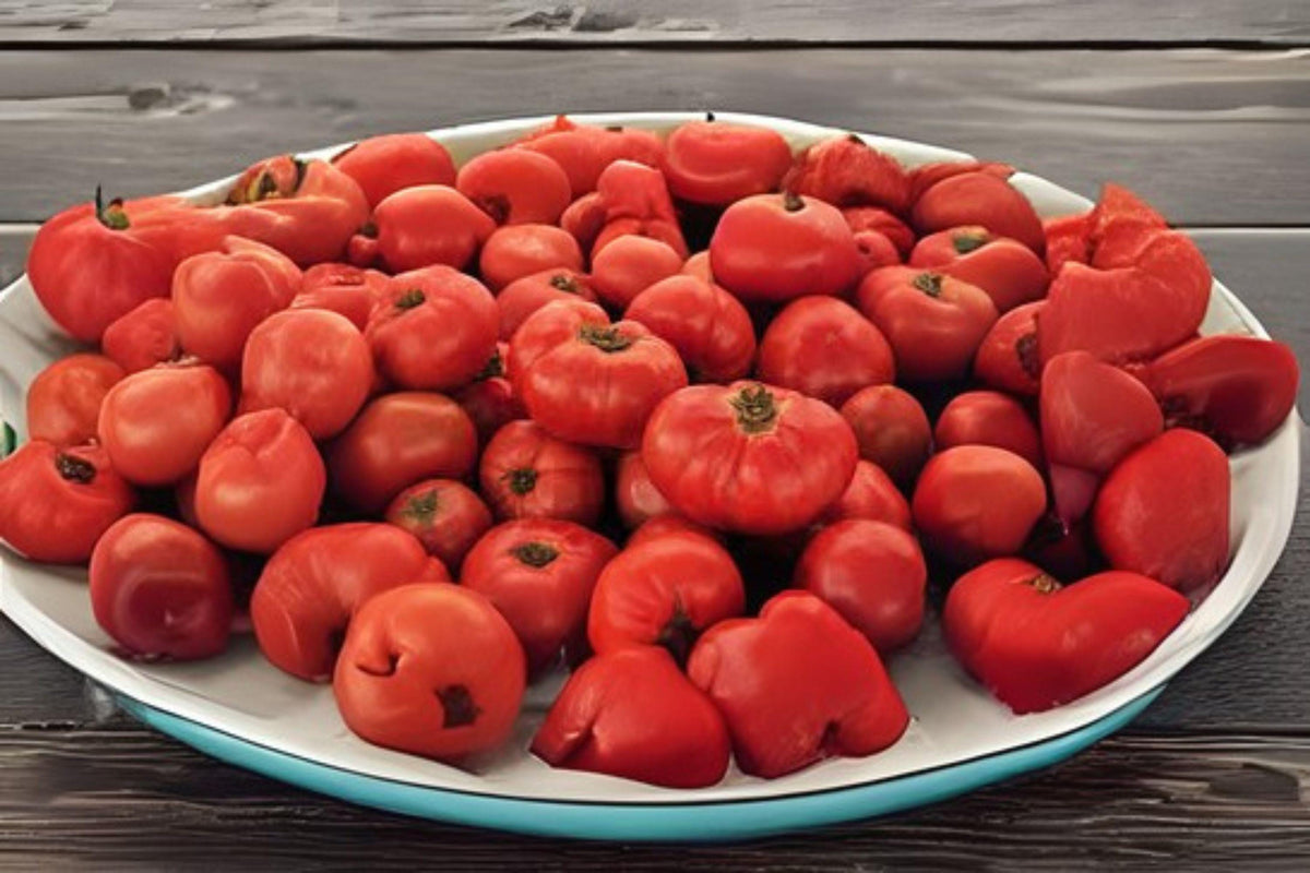 Tomato VR Moscow Seeds – Heirloom Red Tomato, Slicing & Fresh Use, Compact Plant, Solanum lycopersicum, 100mg