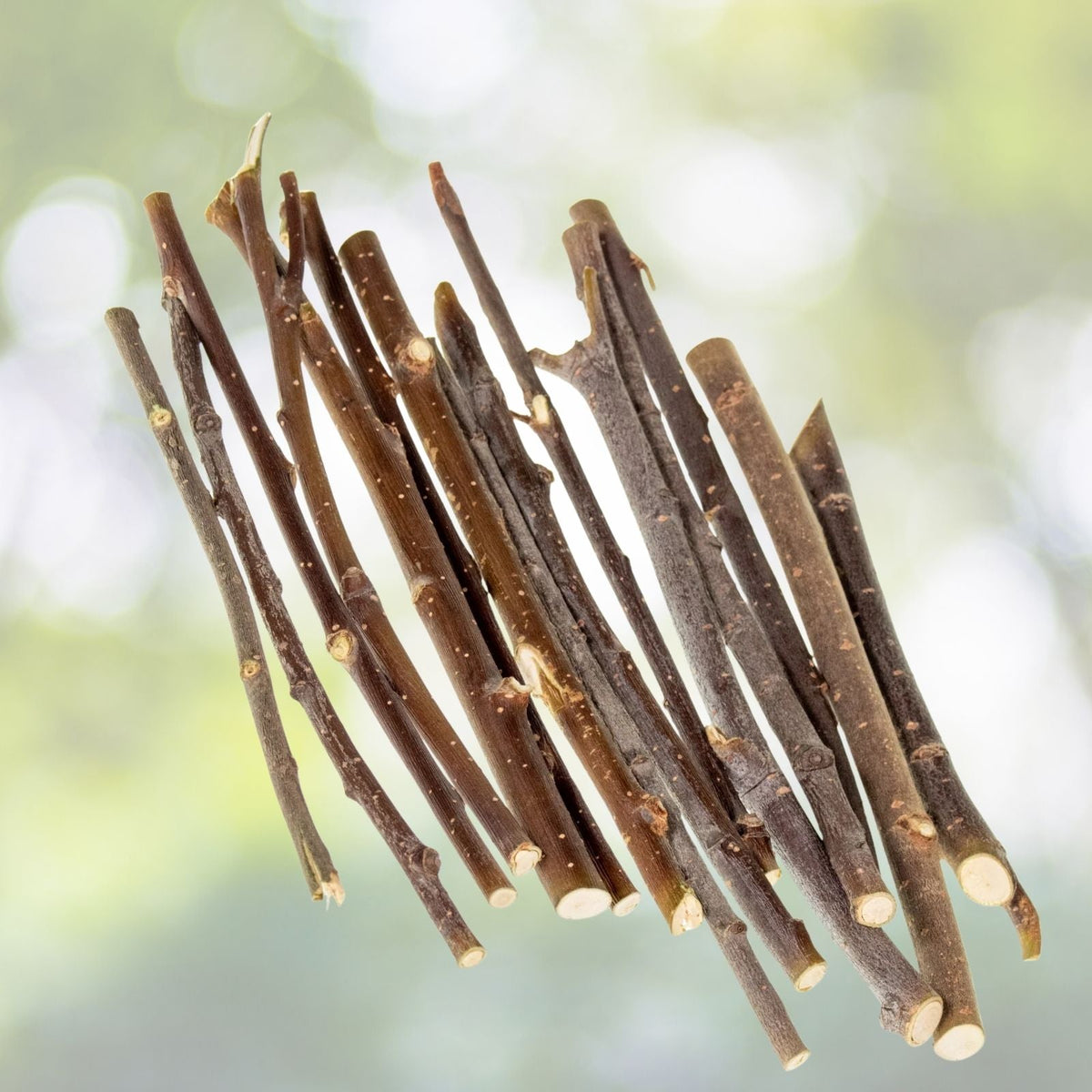 Willow Mega Munch Sticks for Rabbits, Chinchillas & Guinea Pigs - 60+ Small Chew Sticks - Natural Treats for Small Pets