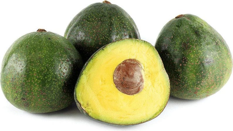 Nabal Avocado Tree Grafted 3-Gallon Pot Persea americana, Compact, Drought-Tolerant, Homegrown Fruit Plant