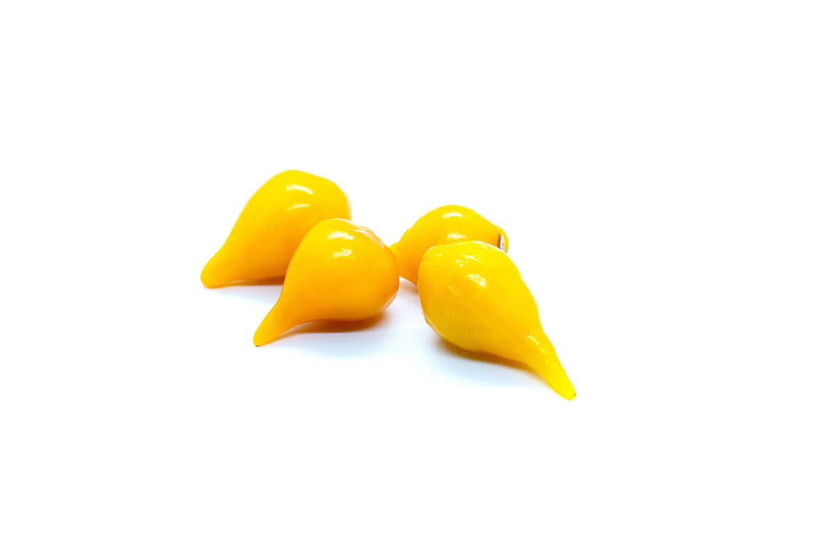 25 YELLOW BIQUINHO PEPPER Brazilian Chupetinho Capsicum Chinense Small Citrusy Sweet Semi Hot Chile Sweety Drop Vegetable Seeds