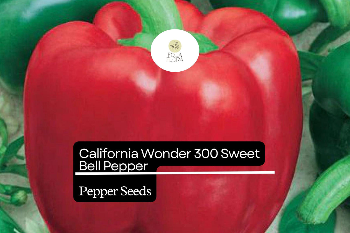 California Wonder Bell Pepper Seeds – Non-GMO Heirloom, High Yield, Thick-Walled, Sweet Bell Pepper, Capsicum annuum