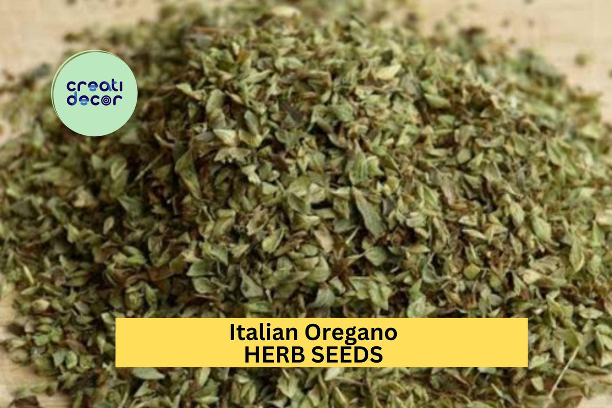 3pcs Italian Oregano Seeds – Culinary Herb for Pizza, Pasta & Mediterranean Gardens – Origanum vulgare, Perennial, Drought-Tolerant