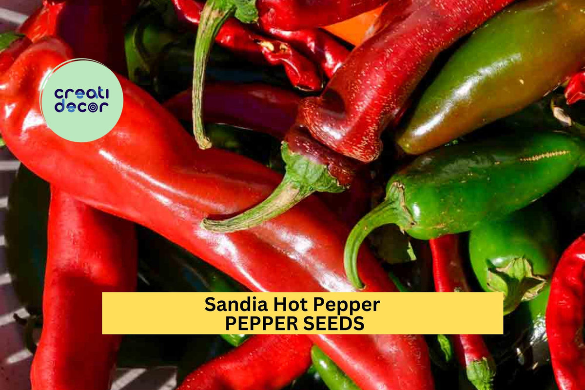 3pcs Sandia Hot Pepper Seeds – Mild to Medium Heat Chili for Roasting, Salsa & Garden Cultivation – Capsicum annuum