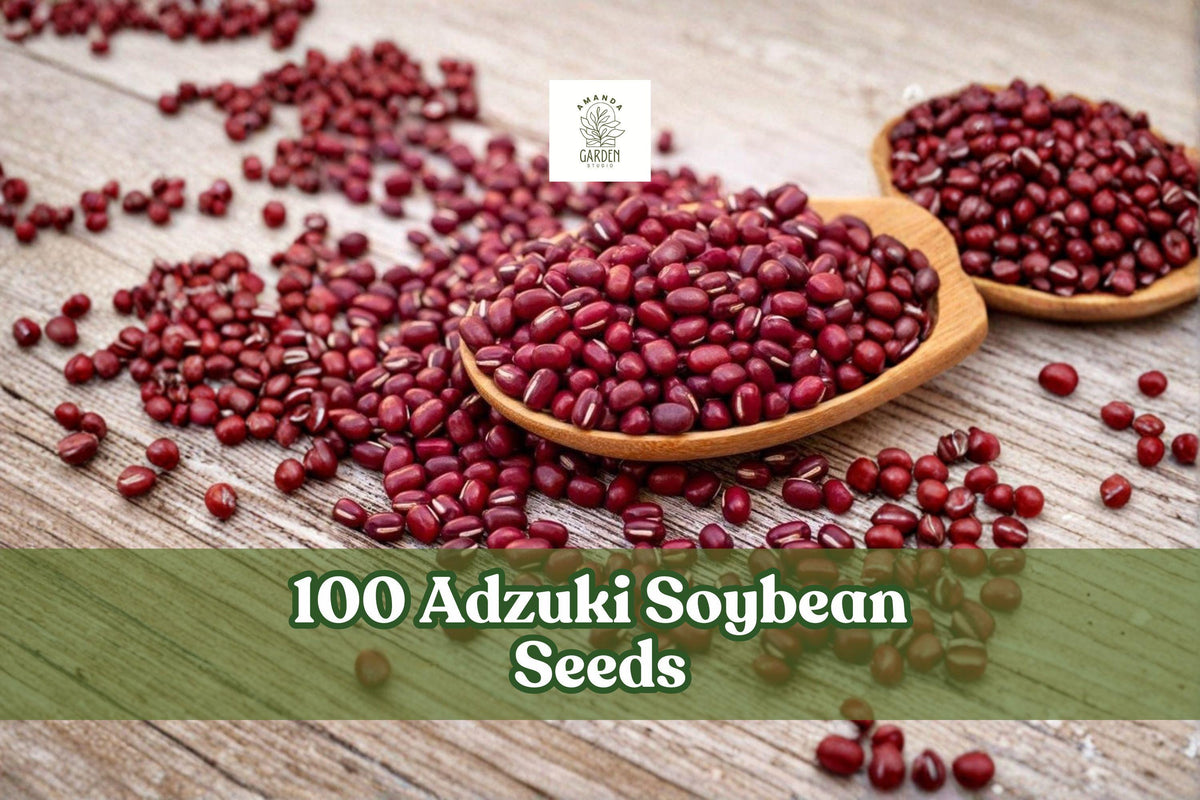 100 Adzuki Soybean Seeds - Red Bean Legume, Vigna angularis, Heirloom Vegetable Seeds for Garden, Outdoor & Raised Bed Planting