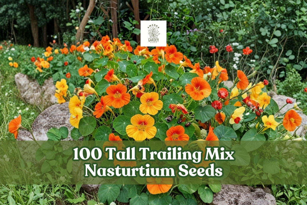 50 Thimbleberry Bush Seeds – Native Deciduous Shrub with White Flowers – Rubus parviflorus for Woodland Gardens & Natural Landscapes