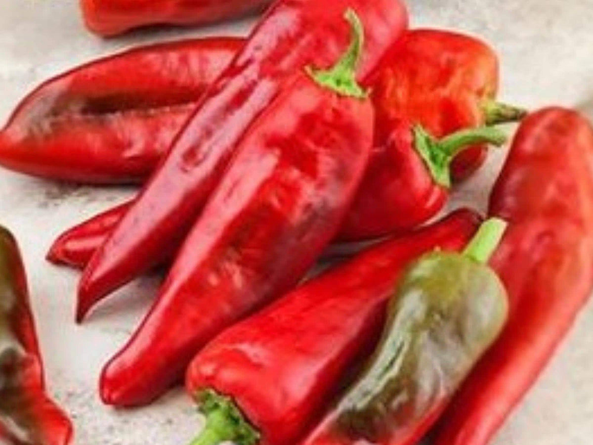 Barker Hot Pepper Seeds – New Mexico Chile Heirloom Vegetable – 25 Seeds for Roasting, Sauces & Stuffing