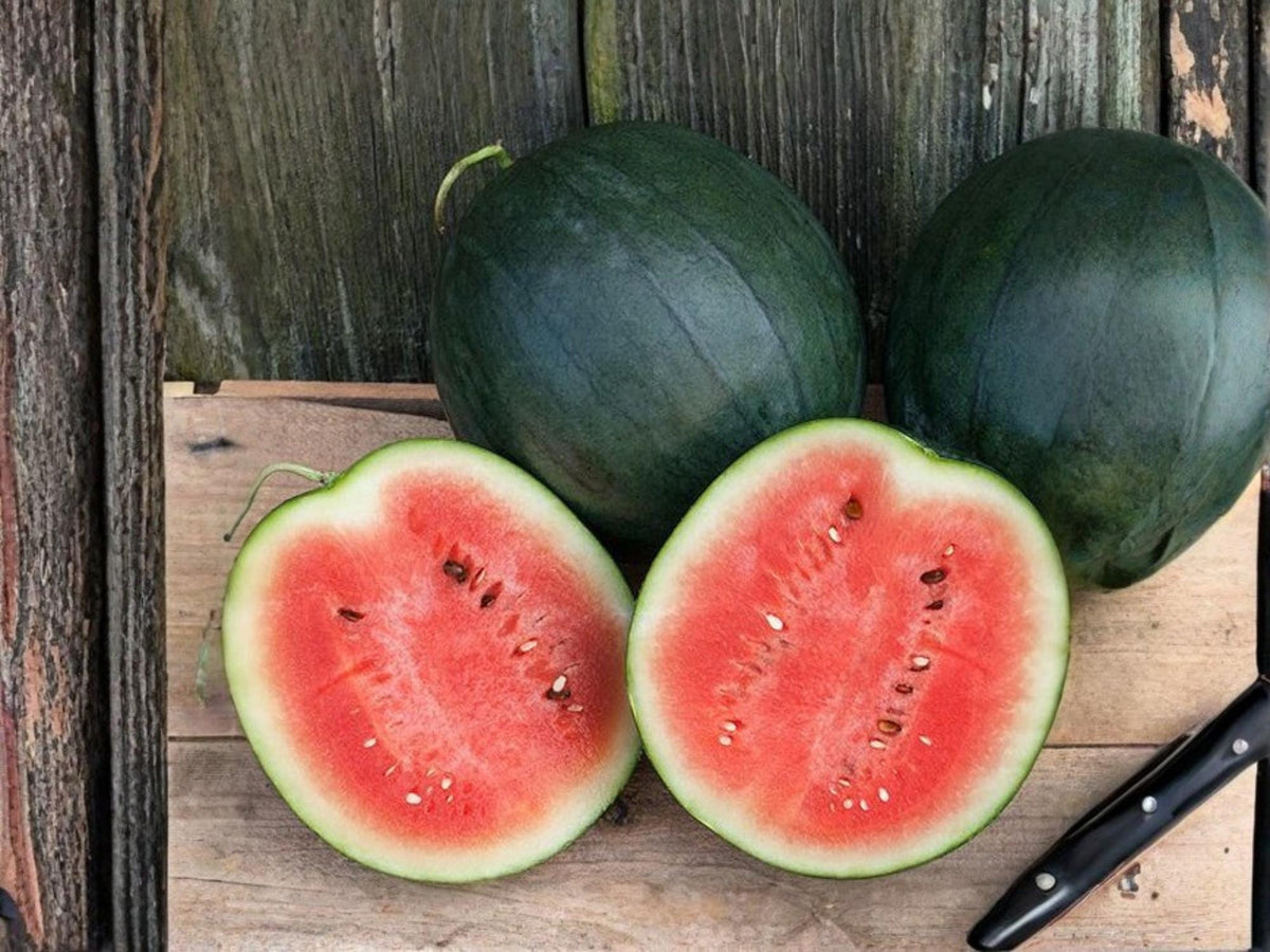 Sugar Baby Watermelon Seeds – Compact Heirloom Melon – Sweet Red Flesh – Garden Vegetable, 10 Seeds