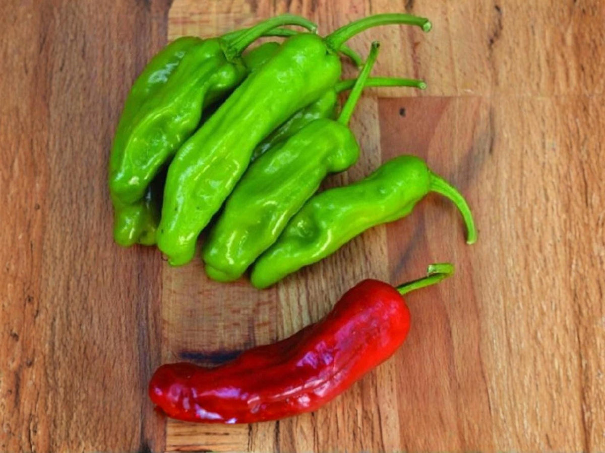 Pepperoncini Italian Sweet Pepper Seeds – Mild Pickling Heirloom Vegetable – 25 Seeds for Garden or Container Growth