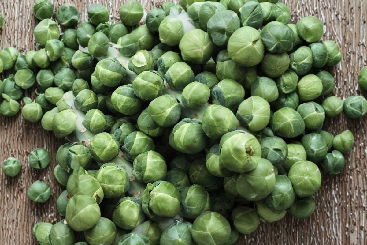 Brussels Sprouts Seeds – Long Island Improved Heirloom Non-GMO, Cold Hardy, High Yield, Organic Vegetable Garden Seeds
