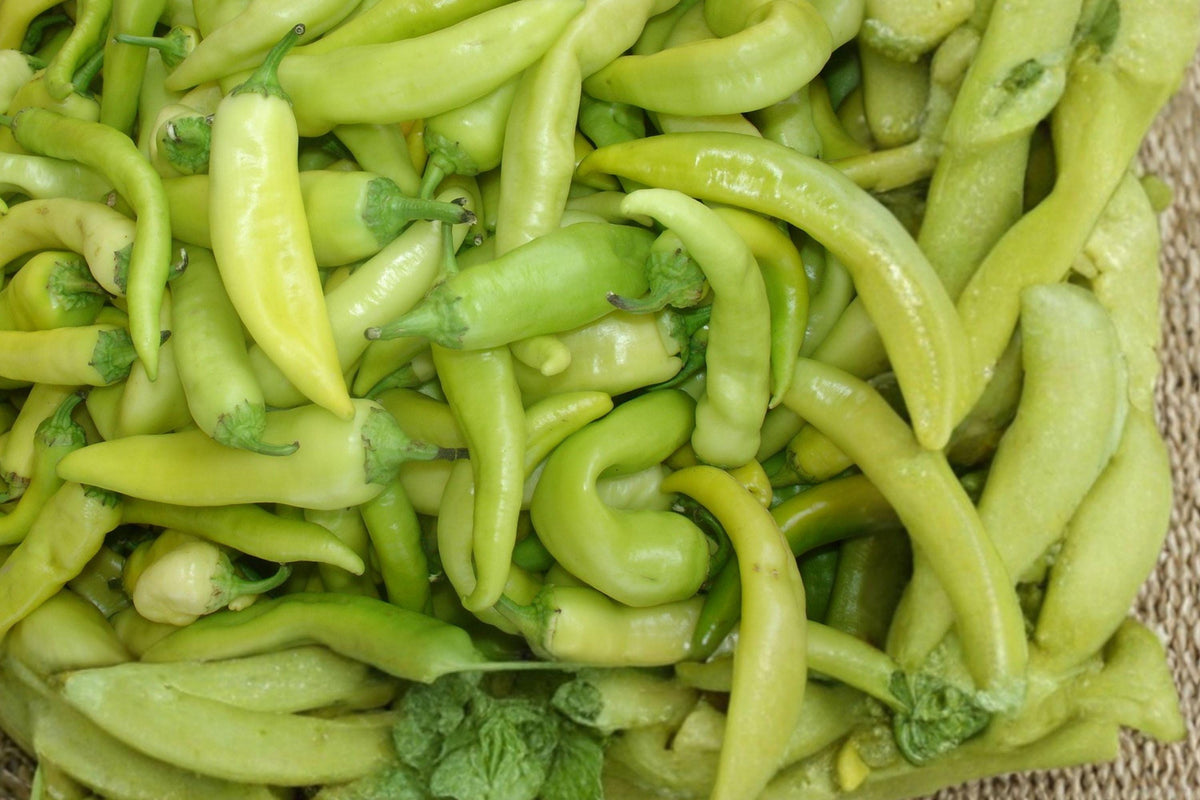Sweet Banana Pepper Seeds – Heirloom Mild Yellow Peppers for Garden, 25 Pack, Fresh Salad, Pickling, Container Growing