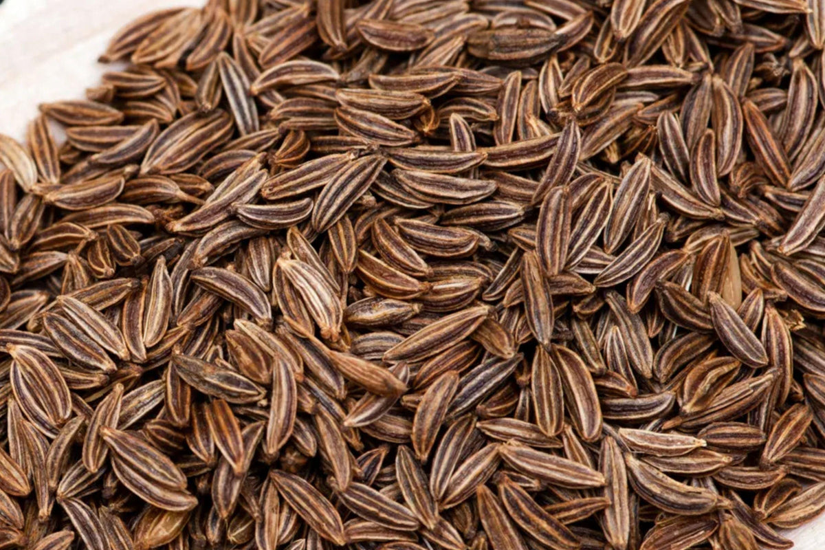 Caraway Seeds Pack 300 Non-GMO Heirloom Aromatic Herb Carum carvi Culinary Spice Seeds
