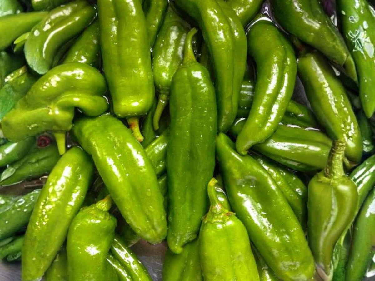 Sandia Hot Pepper Seeds – 25 New Mexico Red Chile Garden Seeds, Long Green to Red Pods, Medium to Hot Heat, Southwest Cuisine