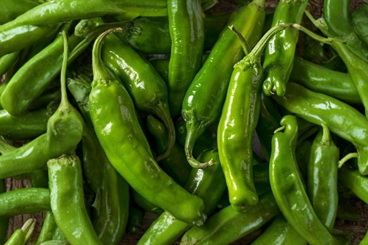 Heirloom Shishito Pepper Seeds – Japanese Chili Variety, Mild Spicy, Gourmet Hot Peppers, Capsicum annuum, 25 Pack