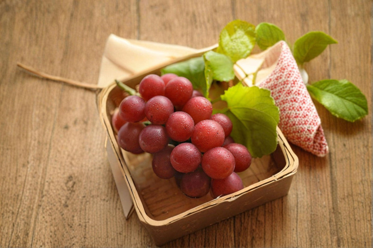 Unrooted Ruby Roman Grape Vine Cuttings – Vitis vinifera ‘Ruby Roman’ for Fruit Production & Trellises