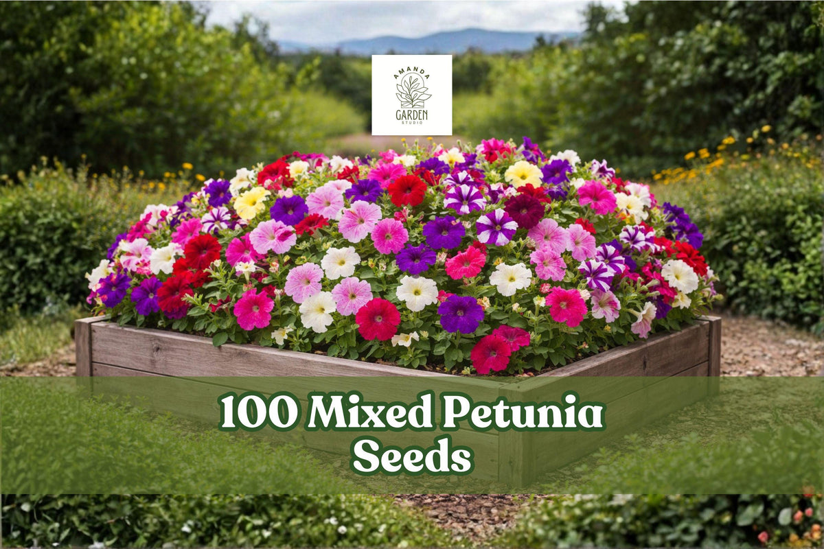 Mixed Petunia Seeds – Colorful Annual Flowers for Garden, Borders & Containers – Petunia spp.