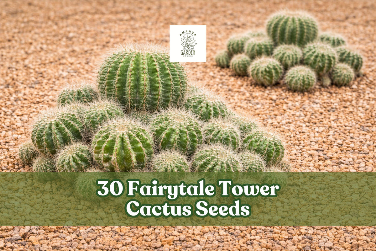 Fairytale Tower Cactus Seeds – Echinopsis mamillosa, Ornamental Columnar Succulent for Indoor & Outdoor Gardens
