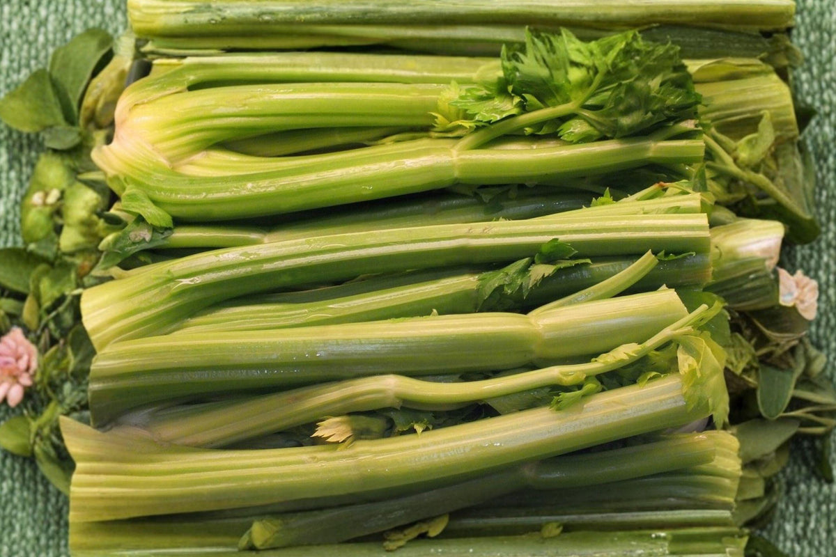 Golden Pascal Celery Seeds – French Heirloom, Stringless Crisp Vegetable Garden Grow, Non-GMO, Fresh Eating & Cooking