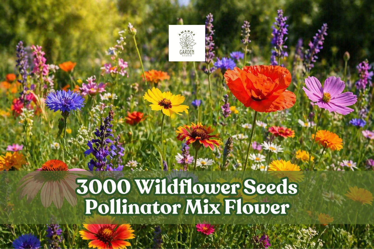 Wildflower Seeds Mix – 3000+ Seeds for Pollinator Garden, Colorful Outdoor Flower Bed, Mixed Annuals & Perennials