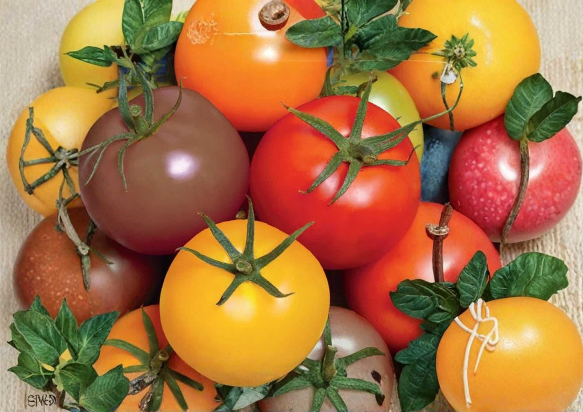 30+ Rainbow Cherry Tomato Seeds – Heirloom Non-GMO Vegetable Seeds for Garden Planting, Colorful Mix, Sweet, High Yield, Solanum lycopersicum