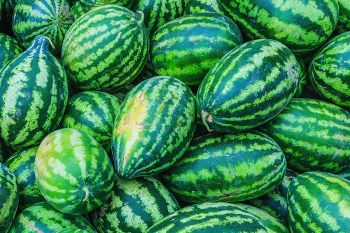 Congo Watermelon Seeds - Heirloom Non-GMO Large Red Flesh Melon, Vining Plant, 12 Seeds