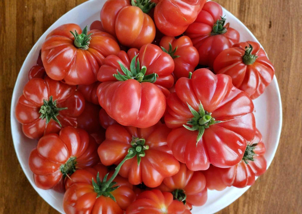 Abe Lincoln Heirloom Tomato Seeds, Large Red Beefsteak, Rare Vegetable Seeds for Garden Planting, High Yield, Rich Flavor
