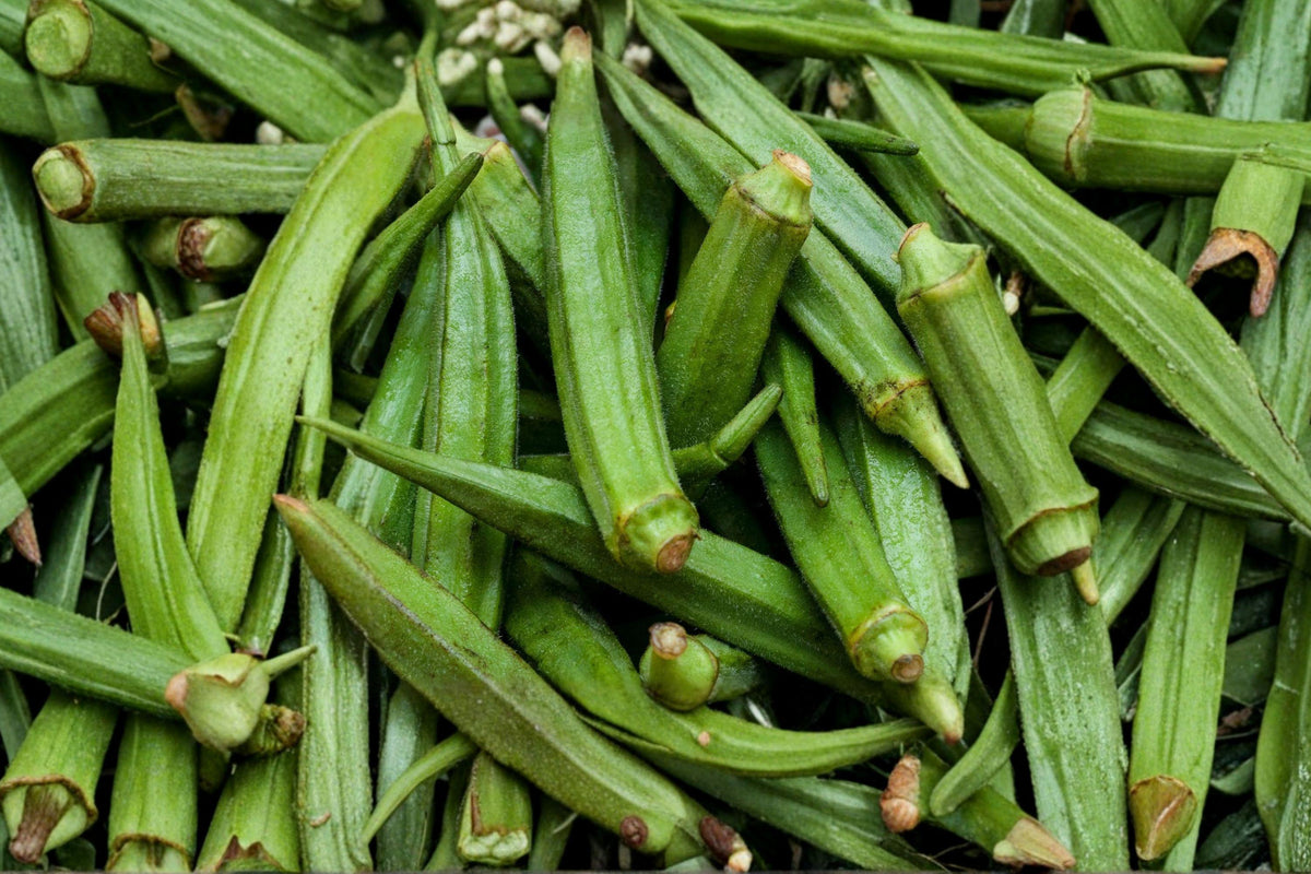 Perkins Long Pod Okra Seeds - Heirloom, Non-GMO, High Yield, Heat Tolerant Vegetable Garden Seeds