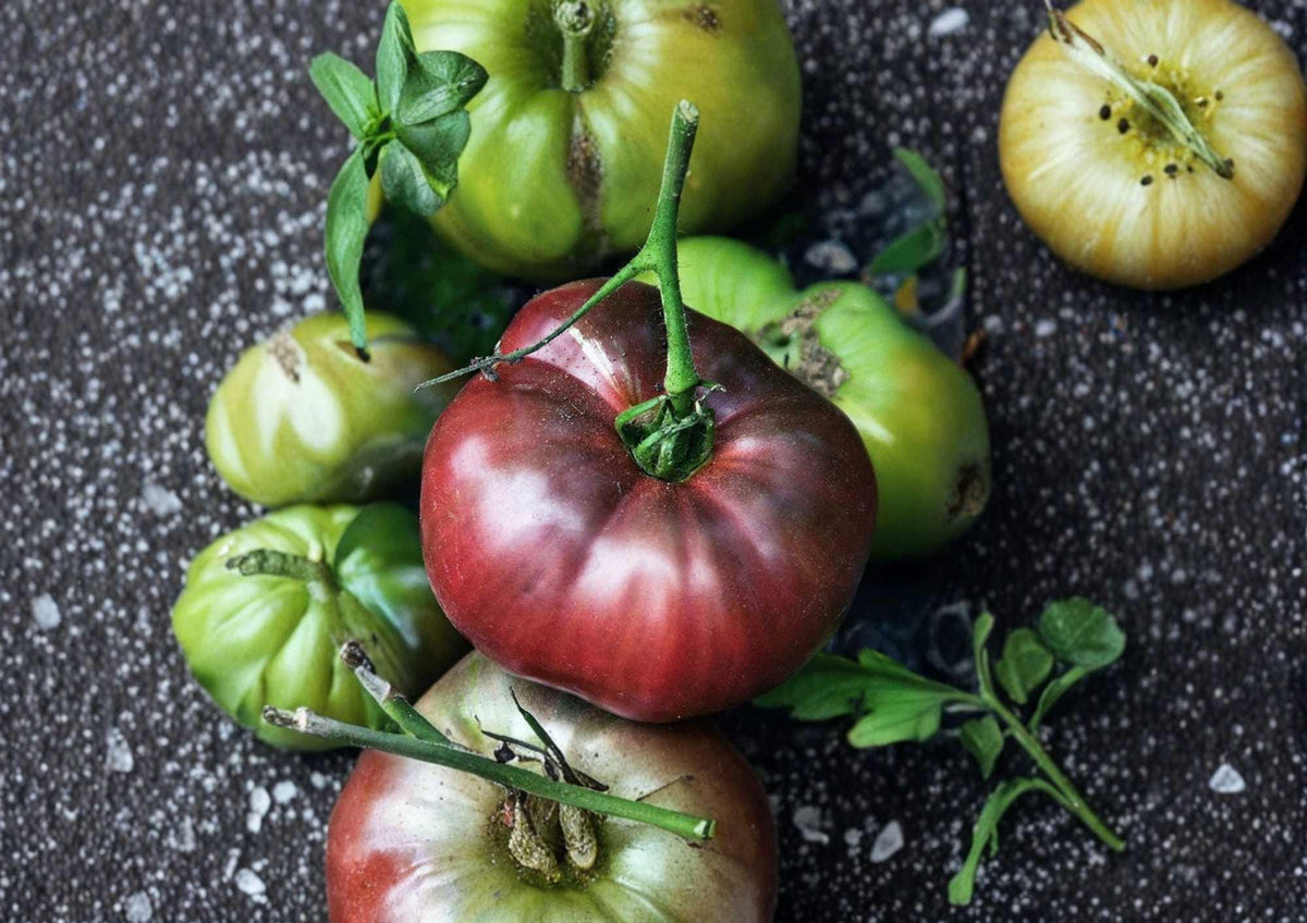 Black From Tula Tomato Seeds – Heirloom Russian Dark Beefsteak, Non-GMO, Gourmet Flavor, 120+ Seeds