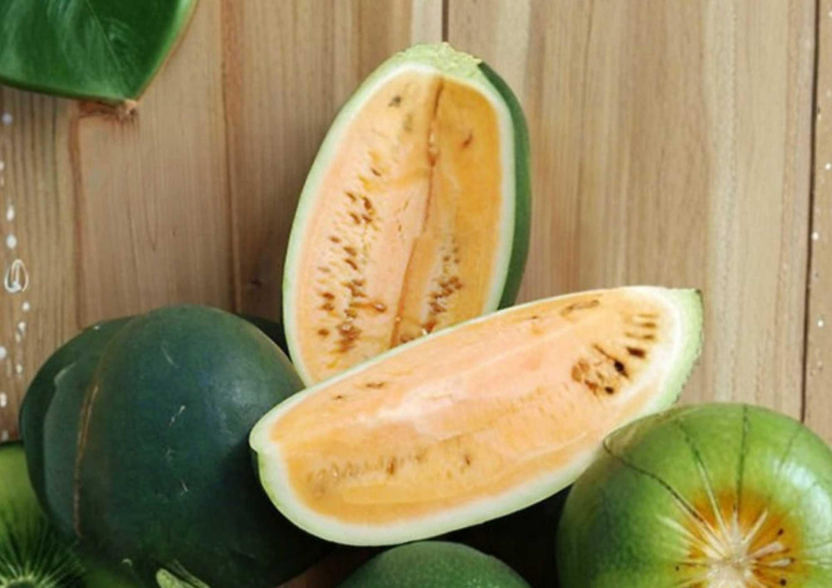 Sweet Siberian Watermelon Seeds - Heirloom Organic Non-GMO Rare Fruit Seeds for Cool-Season Garden Planting