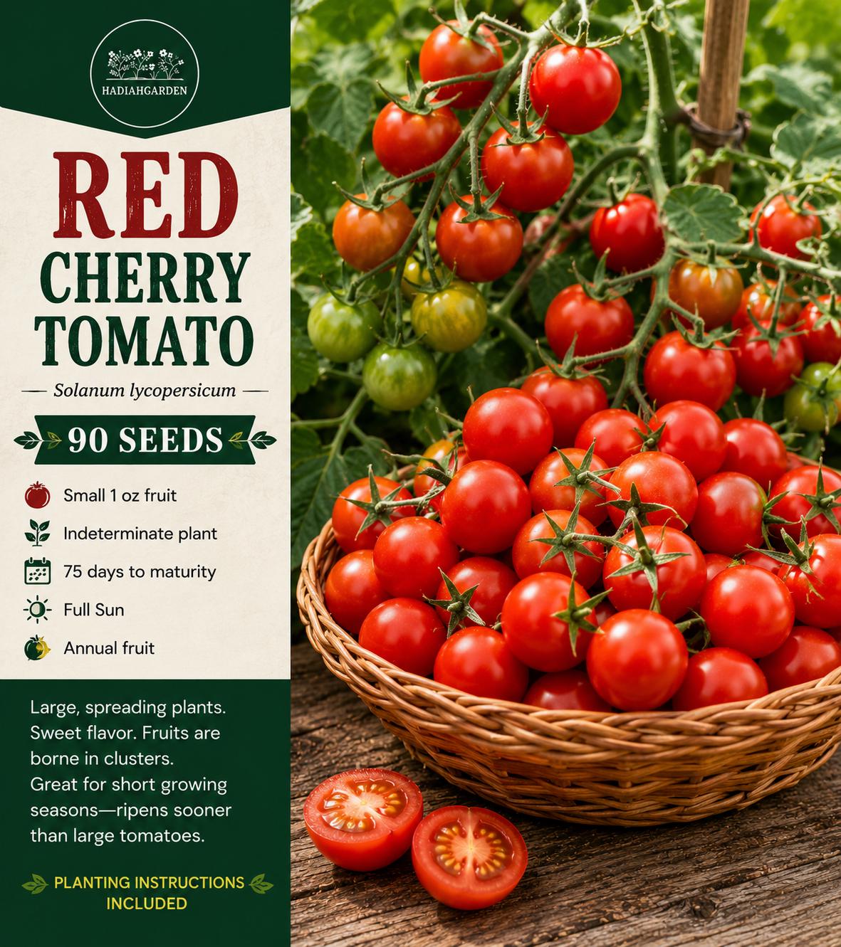 Red Cherry Tomato Seeds – Indeterminate, Sweet Fruit, Solanum lycopersicum, 90 Seeds