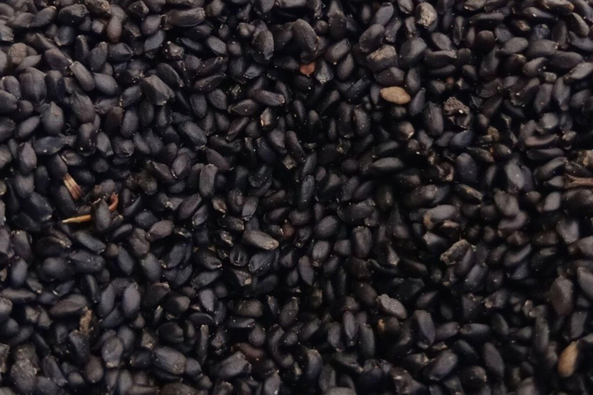 Black Chia Seeds 1 LB – Salvia hispanica, Vegan, Gluten-Free, Nutrient-Dense, Omega-3, Fiber, Baking & Smoothies