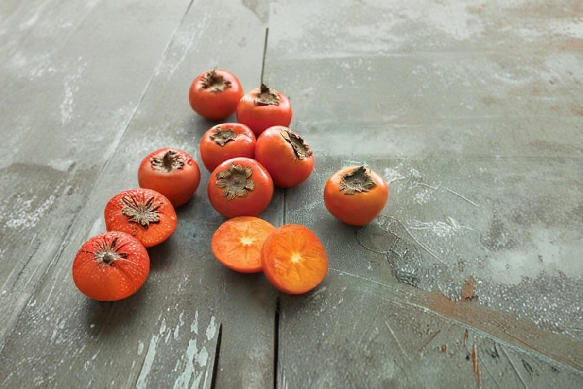 American Persimmon Seedlings – Diospyros virginiana – Deciduous Fruit Tree for Outdoor Garden Planting