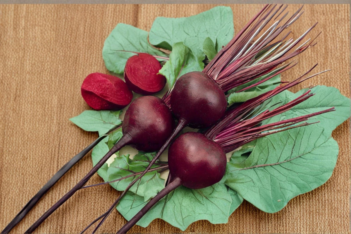 Detroit Red Beet Seeds – Beta vulgaris, Heirloom Root Vegetable for Garden & Container Planting
