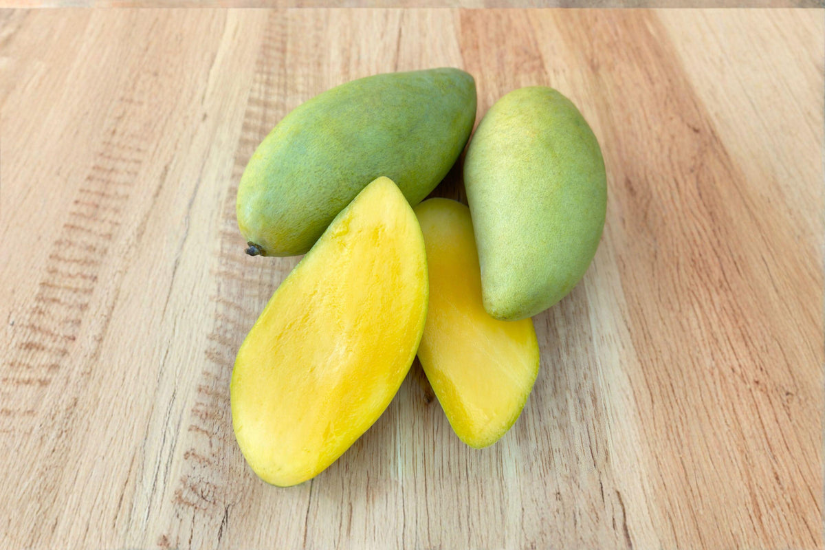Nam Dok Mai Mango Seed – Tropical Fruit Tree – Mangifera indica – Home Growing, Orchard, Container Planting