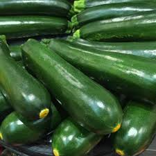 1 Gram Seeds Dark Green Zucchini Summer Squash – High-Yield Cucurbita pepo for Home Gardening