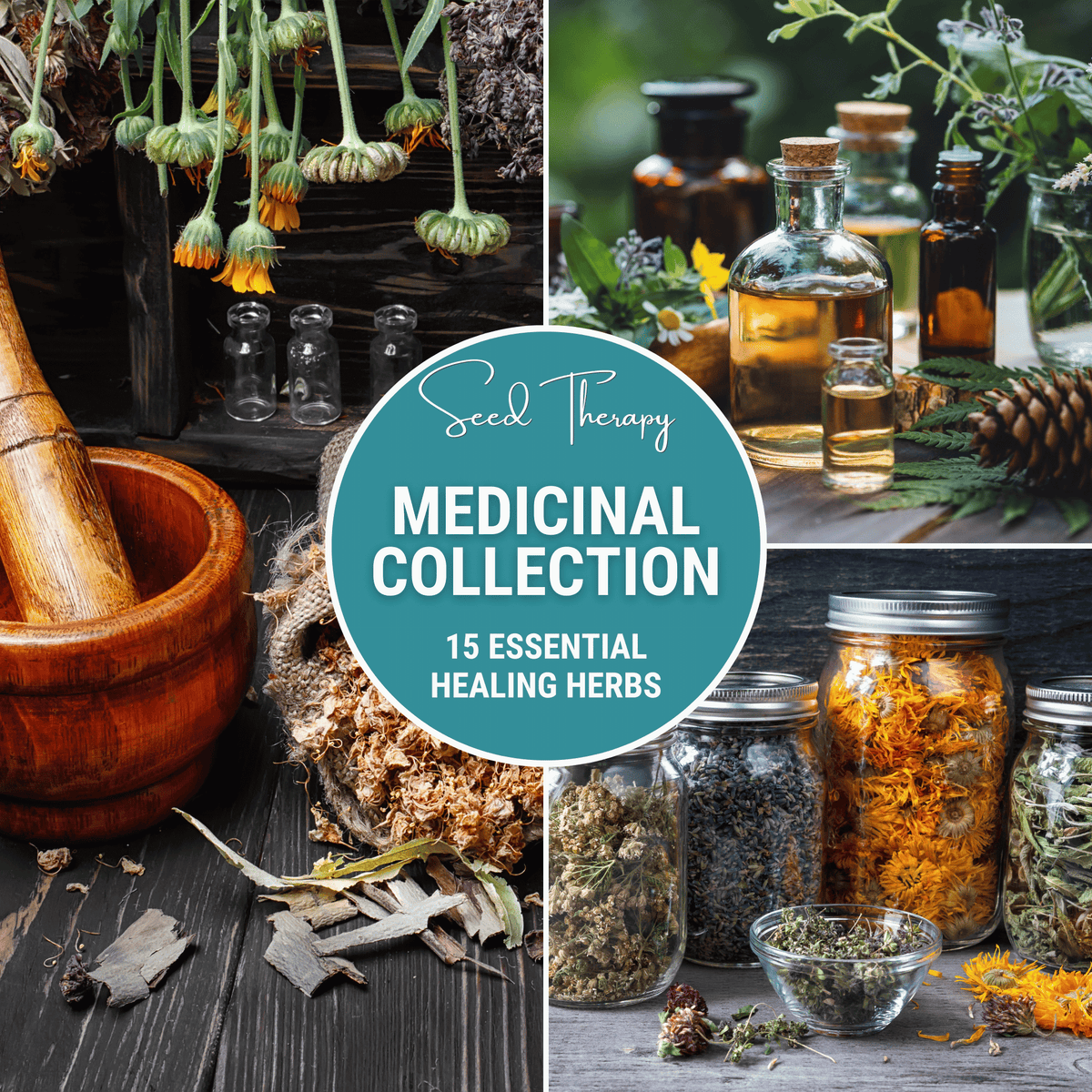 Medicinal Herb Seed Collection – 15 Varieties for Herbal Wellness, Traditional Apothecary, Organic Gardening, Homegrown Herbs