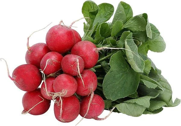 385 Seeds Early Scarlet Globe Radish Raphanus sativus Bulk Seeds for Home Garden, Fast-Growing, Compact, Edible Root