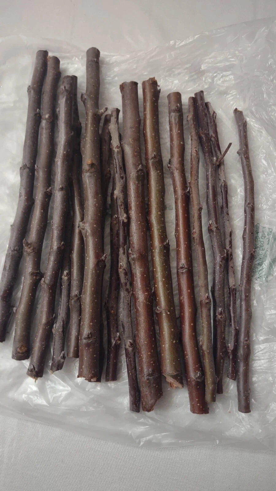 Golden Delicious Apple Tree Scions - 6 Organic Cuttings - Malus domestica