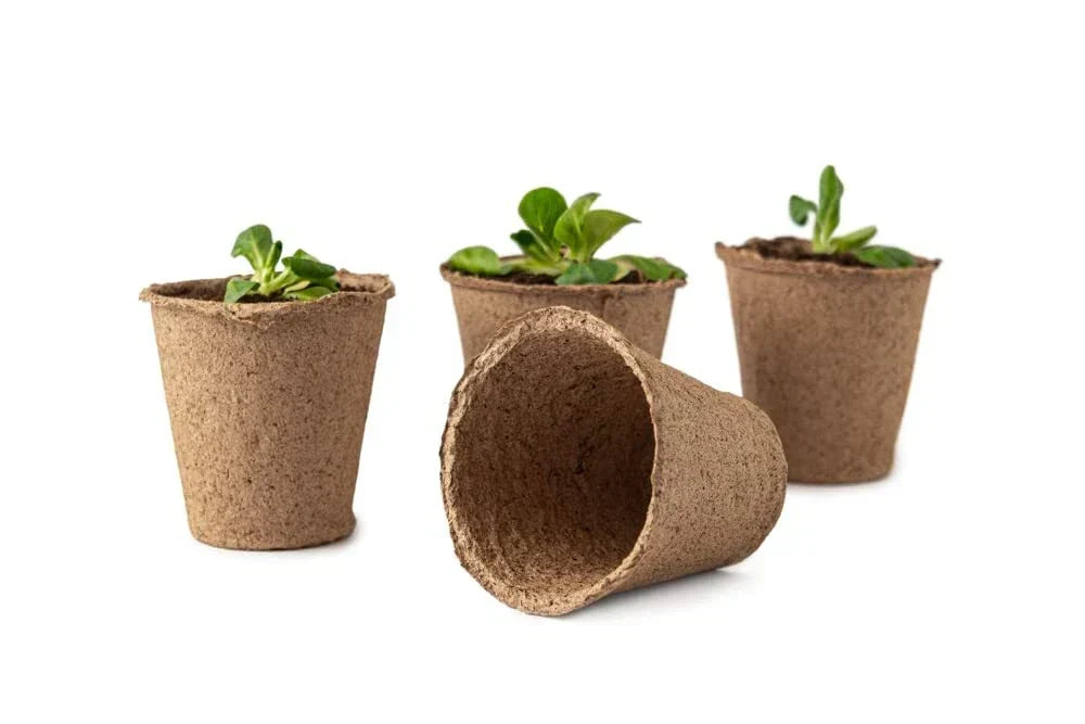 3 Inch Starter Pots - 20 Pack Biodegradable Planting Containers for Herbs, Trees, Vegetables