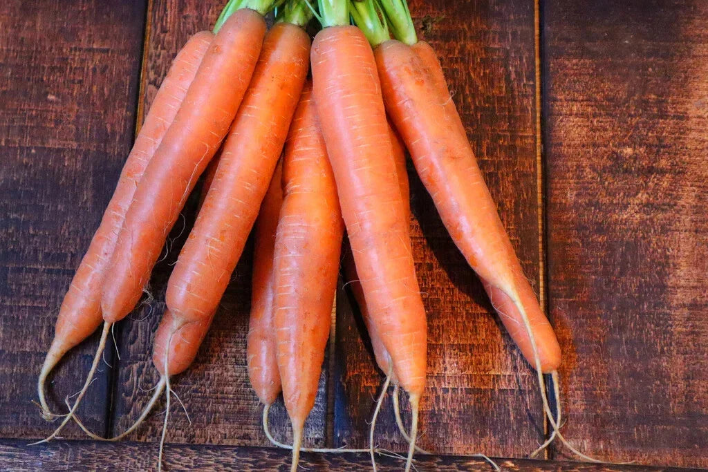 Nantes Carrot Seeds – 1000+ Count – Heirloom Variety – Daucus carota – Ideal for Garden Planting – USA