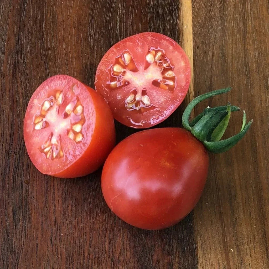 Napoli Tomato Seeds – Organic Heirloom, Non-GMO, Solanum lycopersicum, 10+ Seeds for Home Garden, Salad & Sauce