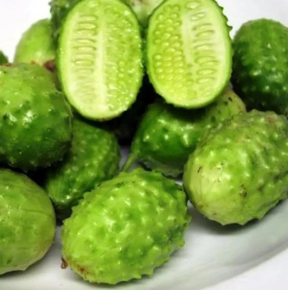 West Indian Gherkin Seeds - 50+ Heirloom Burr Spike Cucumber Organic Seeds for Garden, Pickling & Salad, Cucumis anguria