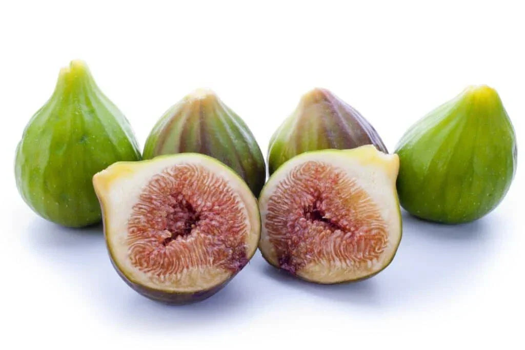 Florentine Fig Seeds - 100+ Count - Fico Bianco - Ficus carica - USA