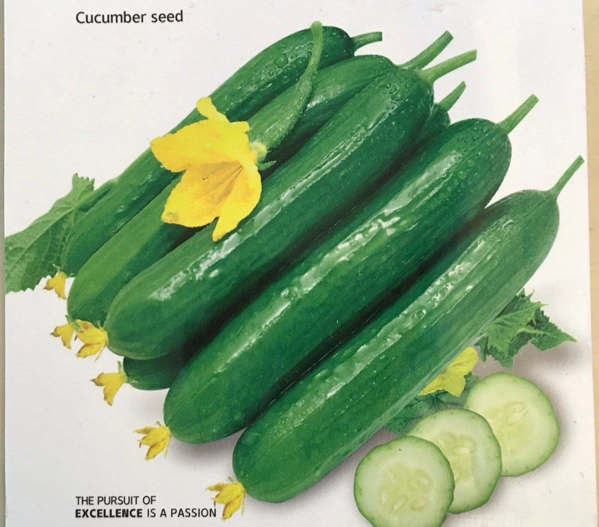 Chinese Fruit Cucumber Seeds - Burpless Hybrid Mini Cucumbers for Salads & Snacking, Cucumis sativus, 15+ Seeds