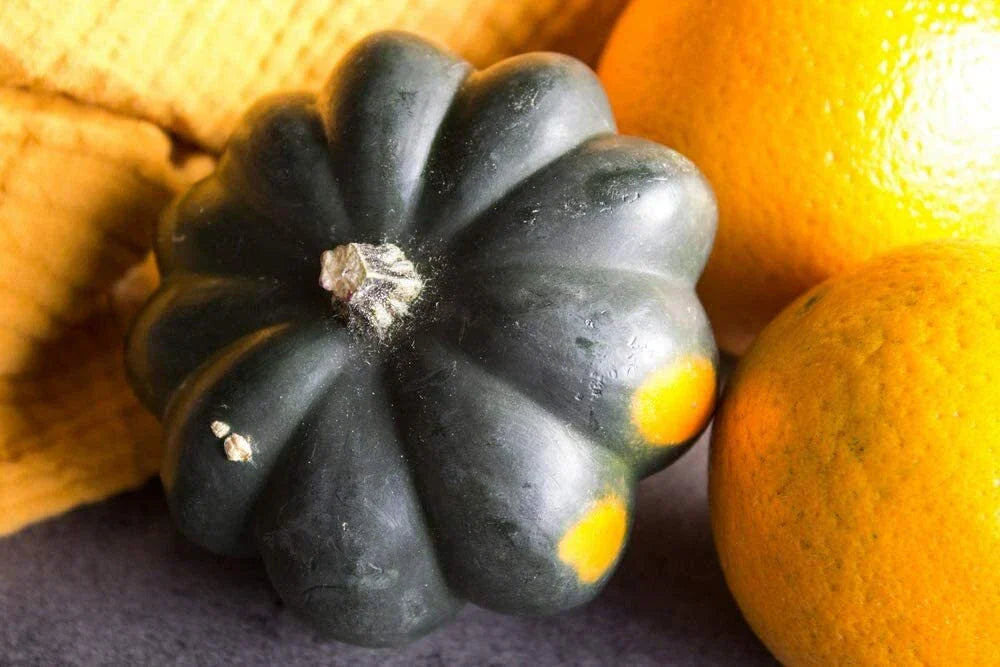 Giant Acorn Squash Seeds - 50 Pack | Nutritious Table Squash Seeds