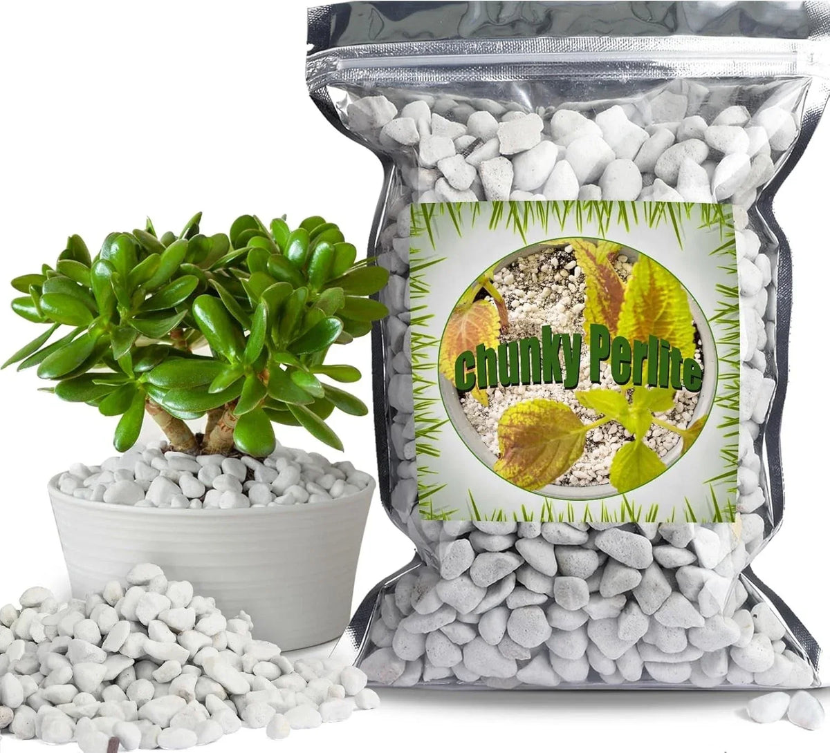Organic Chunky Perlite for Plants, 1qt, 0.4"-0.8" Diameter, Soil Aeration, Drainage, Hydroponics, Perlite Soil Amendment