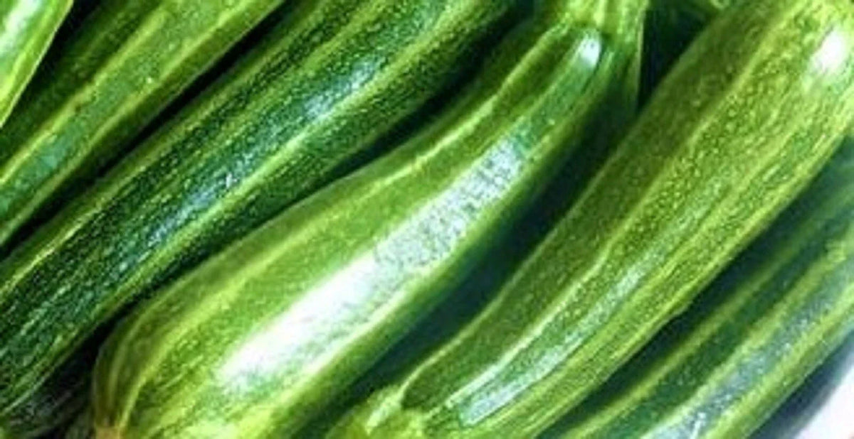 Cocozelle Zucchini Seeds – Heirloom Cucurbita pepo, Non-GMO, 30 Pack for Home Gardening & Container Growing