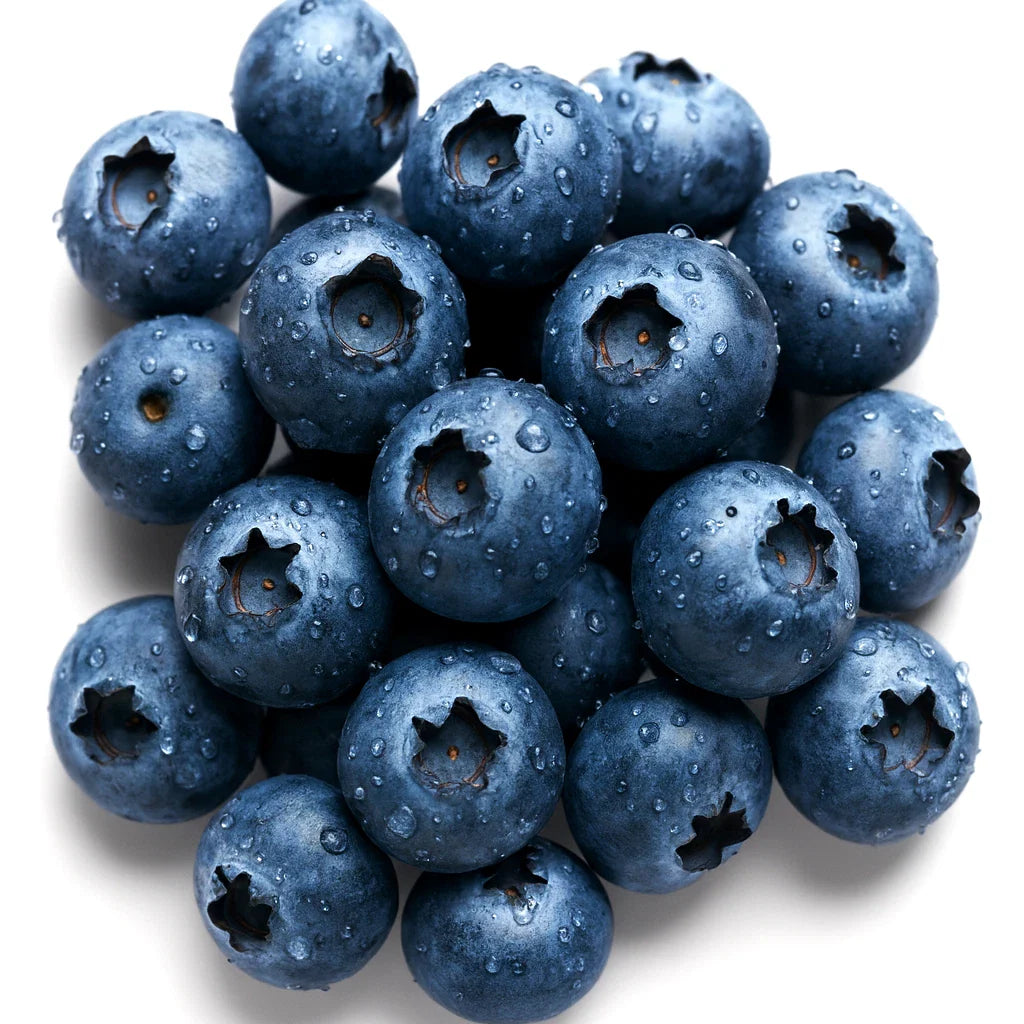 European Blueberry Seeds - 400+ Bilberry Autumn Low Bush - Vaccinium myrtillus - Rare Sweet Variety, Free Shipping