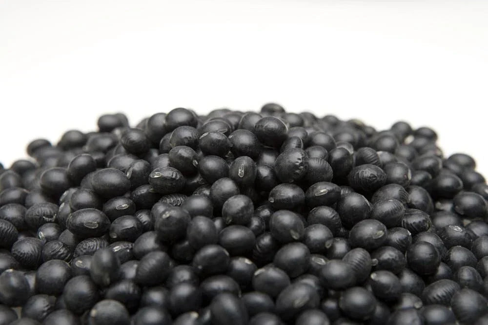 Black Soybean Seeds - 1 lb Non-GMO Glycine max for Planting & Sprouts