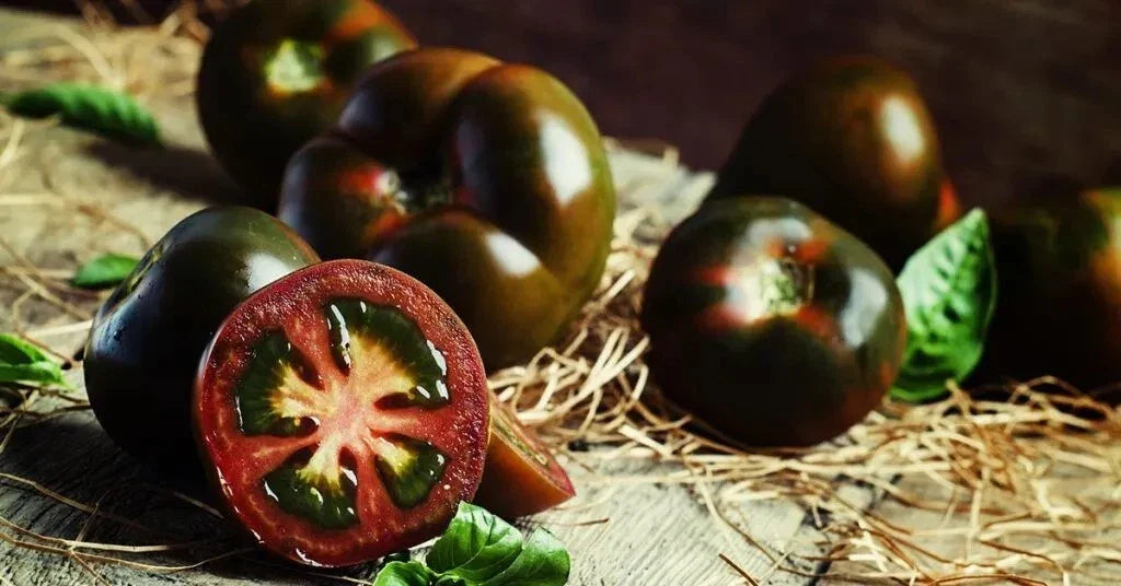Black Truffle Tomato Seeds - 30+ Heirloom Organic Non-GMO - Rare Early Variety - Perfect for Home Gardening