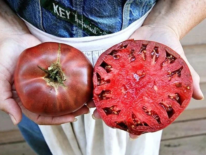 Cherokee Purple Tomato Seeds - Heirloom Non-GMO - 10+ Fresh Solanum lycopersicum Seeds for Home Garden, Juicy, Dark Pink to Purple Fruits